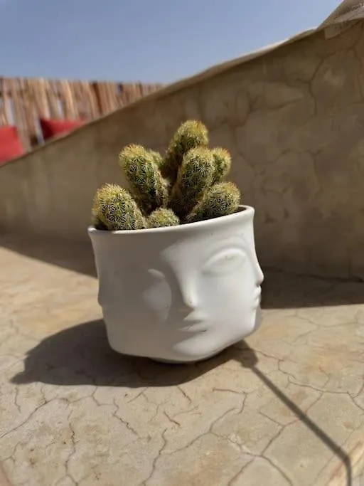 Riad Jarco Marrakech, Coeur Medina, Rooftop, Bassin , Proche Place Jemaa El Fna 마라케시